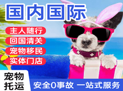 泰州航空物流国际宠物托运 【国
